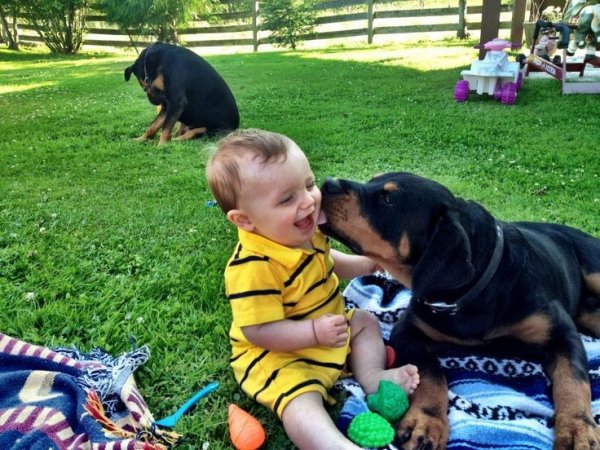 a587a78d67b964ab5b895d99b521be51