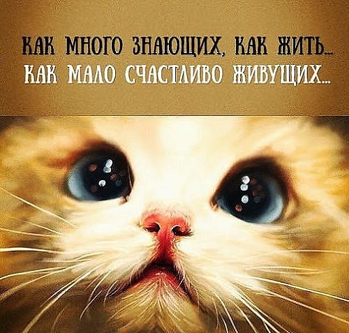 IMG 20161021 163203 3