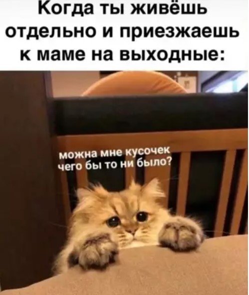КотЭ)
