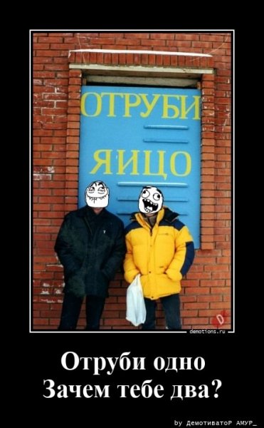 picture_393385642