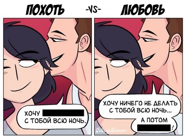 Любовь и похоть 6