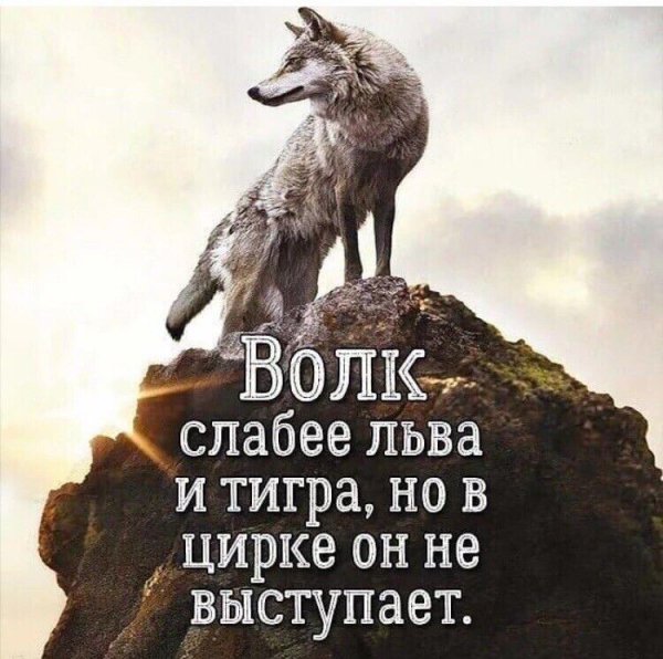 В точку