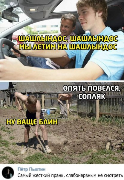 Повелся