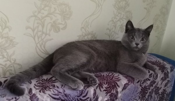 IMG 20250226 072903 edit 45072929517648