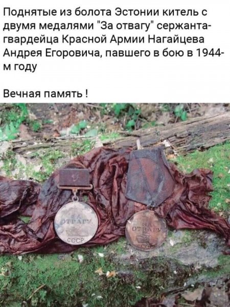 image (3) - 2020-12-26T045928.398