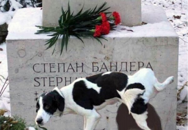 А этого диверсанта поймали?