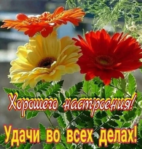 0pKW66j26zQylhBA7y