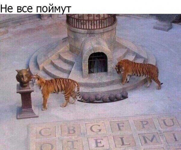 Не все поймут