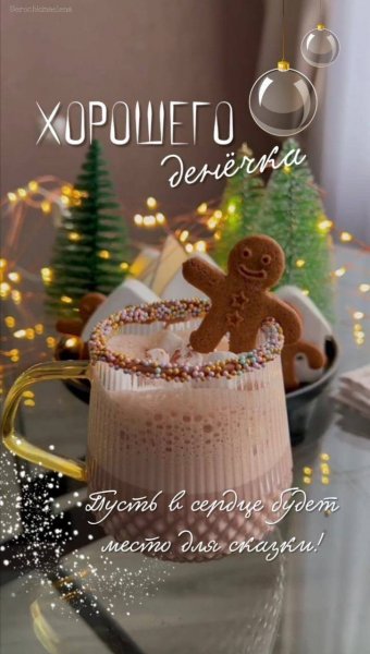 IMG 20260212 040510 543