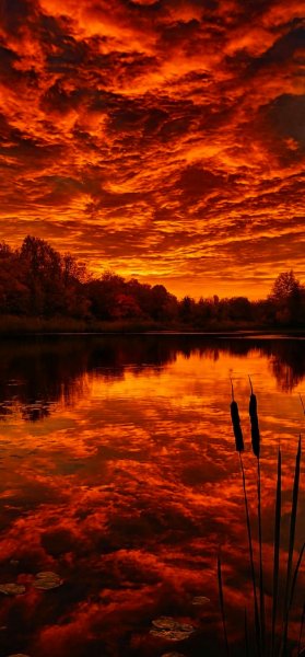 Арт Природа