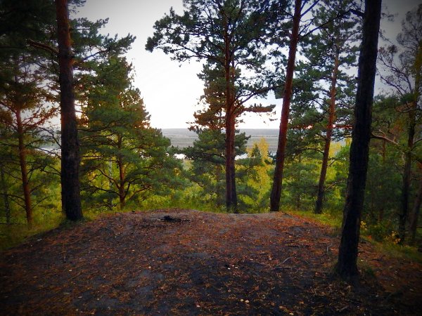 Плато ледника