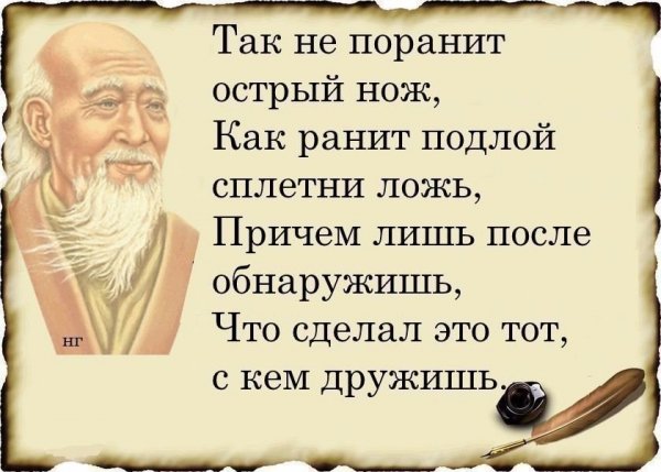 Мудрость жизни