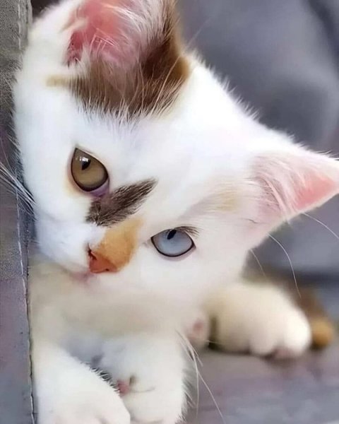 Соскучился