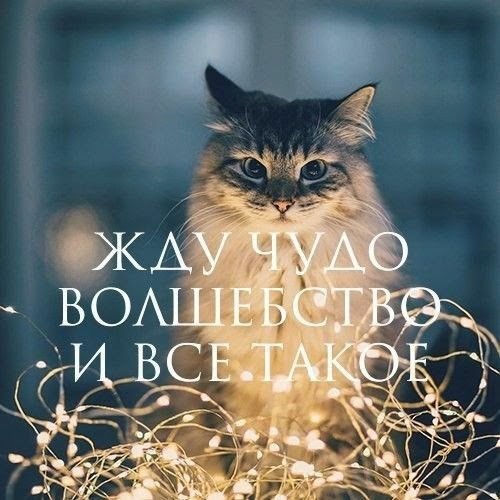 3b60eea1-f286-41be-ae00-17bf285ea6bc