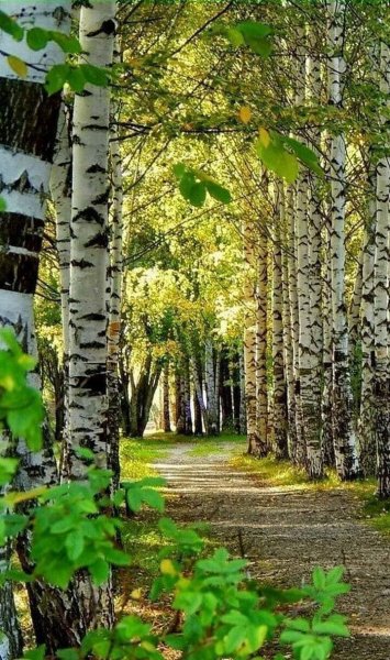 17-05-38-241636280 1455794888127560 112028786273895591 n