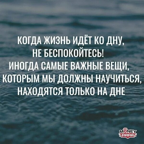 Верные слова!