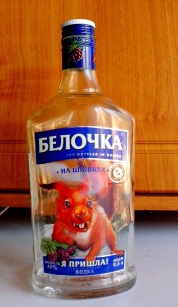 Белочка пришла
