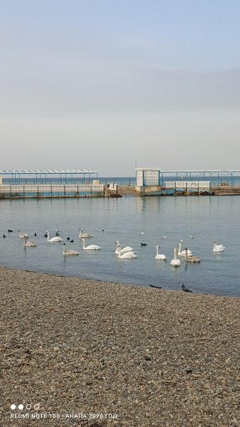 Анапа. Галечный пляж