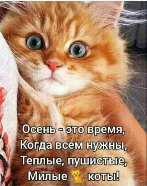 picture_397982646