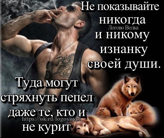 IMG 20190713 113908 424