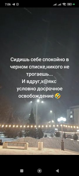 picture_379935635