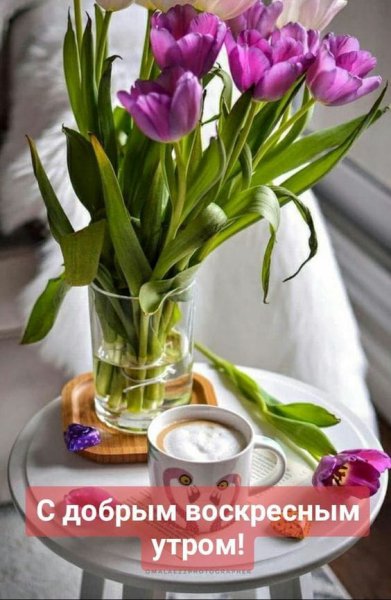 IMG-20220327-WA0002