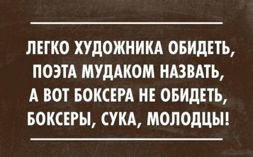 Боксёра не обидеть