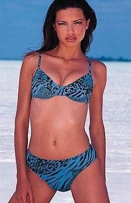 66a4164081cd3a262119008f39b26f79