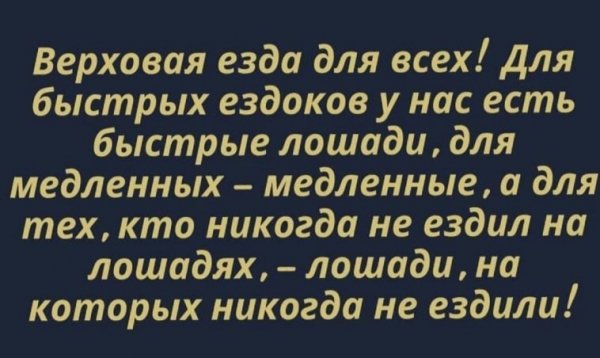 Лошади для каждого