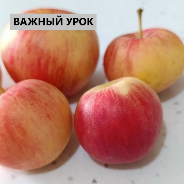 GCJ4-JEGL2CWMtYTEBiP6C42znTtONtghBh-dUR9OZX-PlRkTYISAAdwxLNX