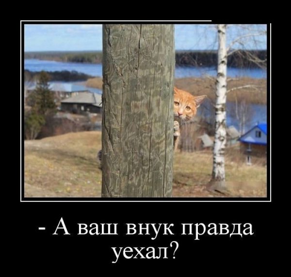 image (16)