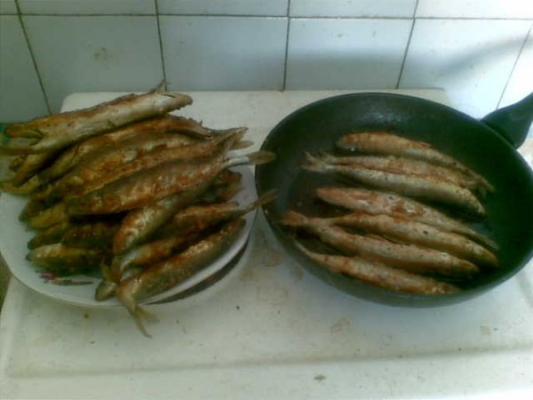 жареная корюшка