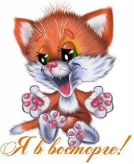 1.Я в восторге