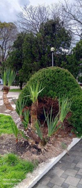 Анапа. Центральная набережная