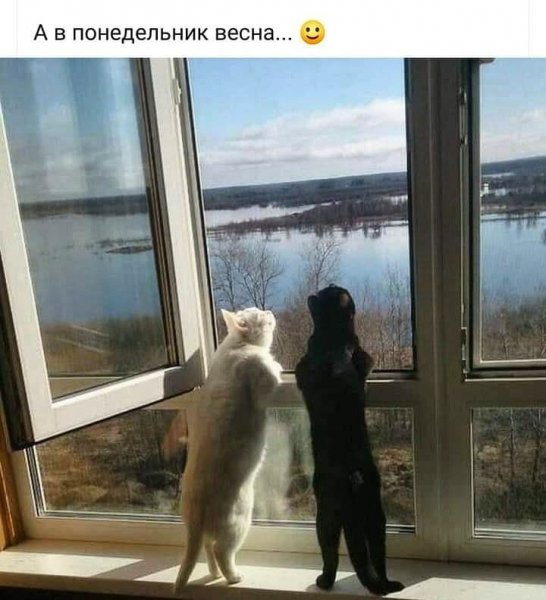 photo 2021-02-27 21-56-16