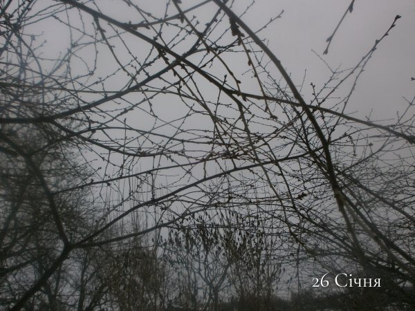 26 Січня