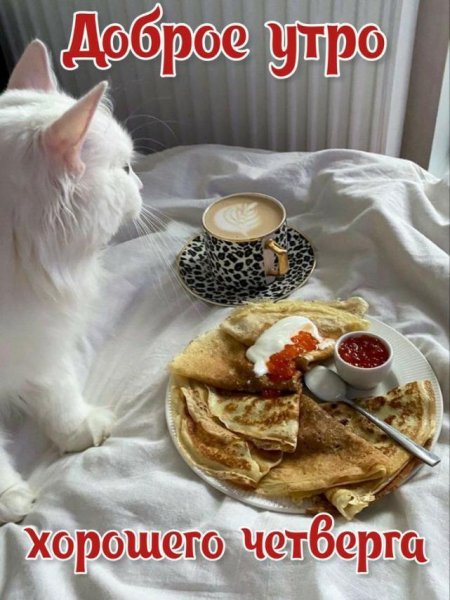 Доброе утро