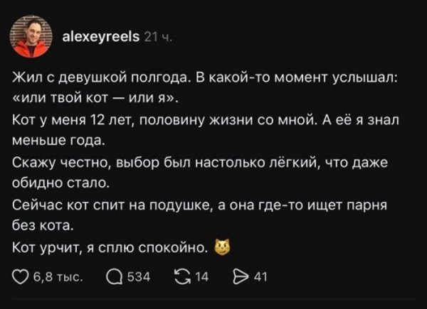 Chernyj-i-amoralnyj-jumor-dlja-podnjatija-boevogo-duha-10