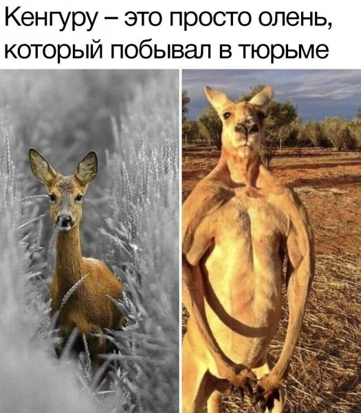 IMG 20230315 193801 914