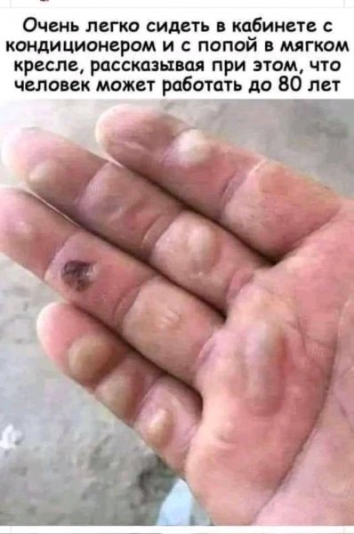 FB IMG 16878565542531017