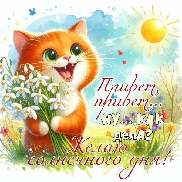 IMG 20260408 110425 877