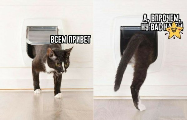 Привет )