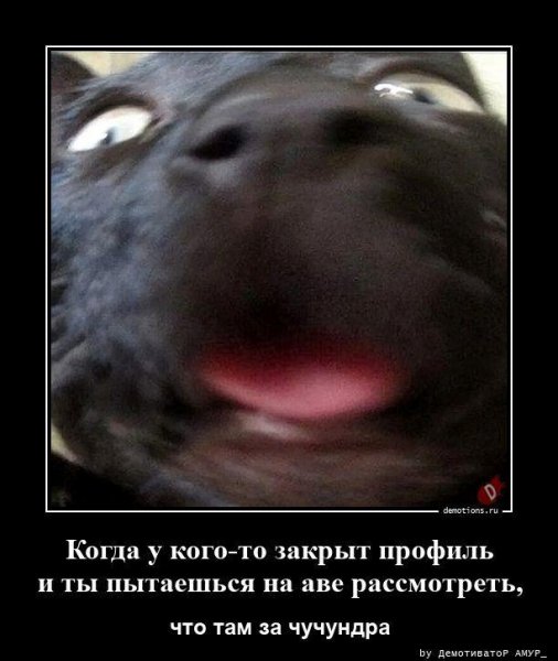 picture_406669469