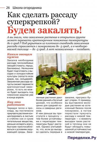 Школа огородника