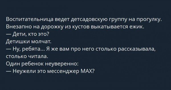 Ёжик и мессенджер МАХ