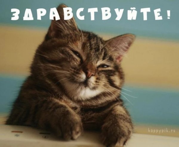 IMG 20260114 193514 951