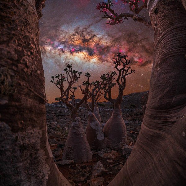 IMG 20260220 090256 779