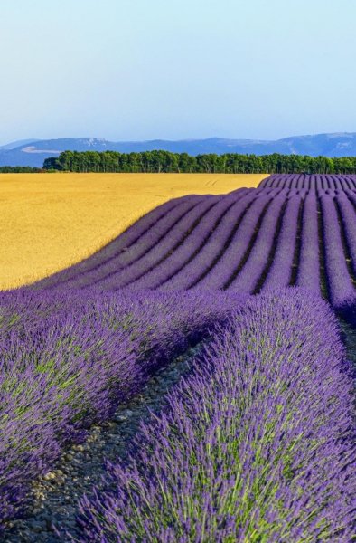 Screenshot 20260401-121512 One UI Home