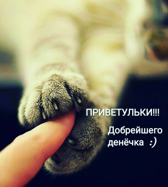 Всем по привету!