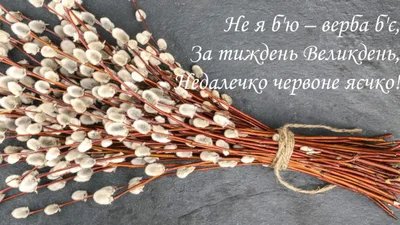 Нє я б'ю - Вєрба б'є